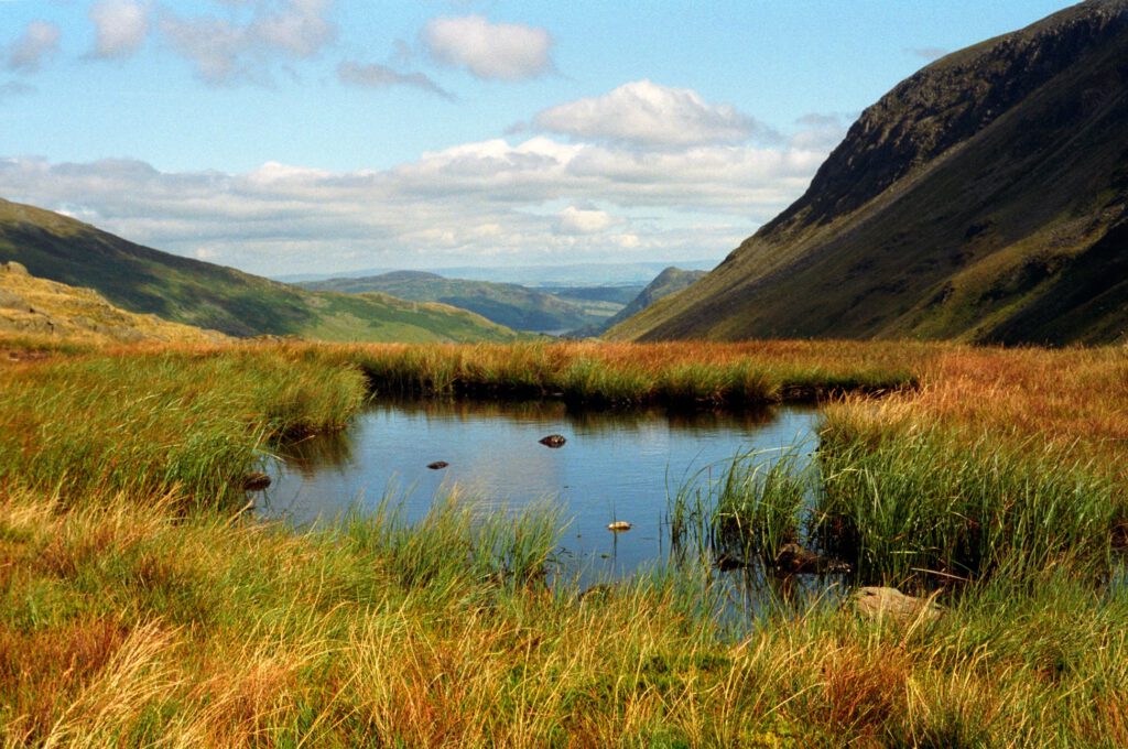 Moorland bog with bright blue sky and large hills in the background