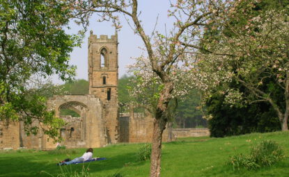 the ruins of Mount Grace Priory