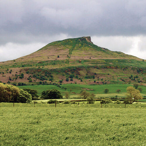 View of north side of Roseberry Topping, as seen from the en:Guisborough Branch Walkway.