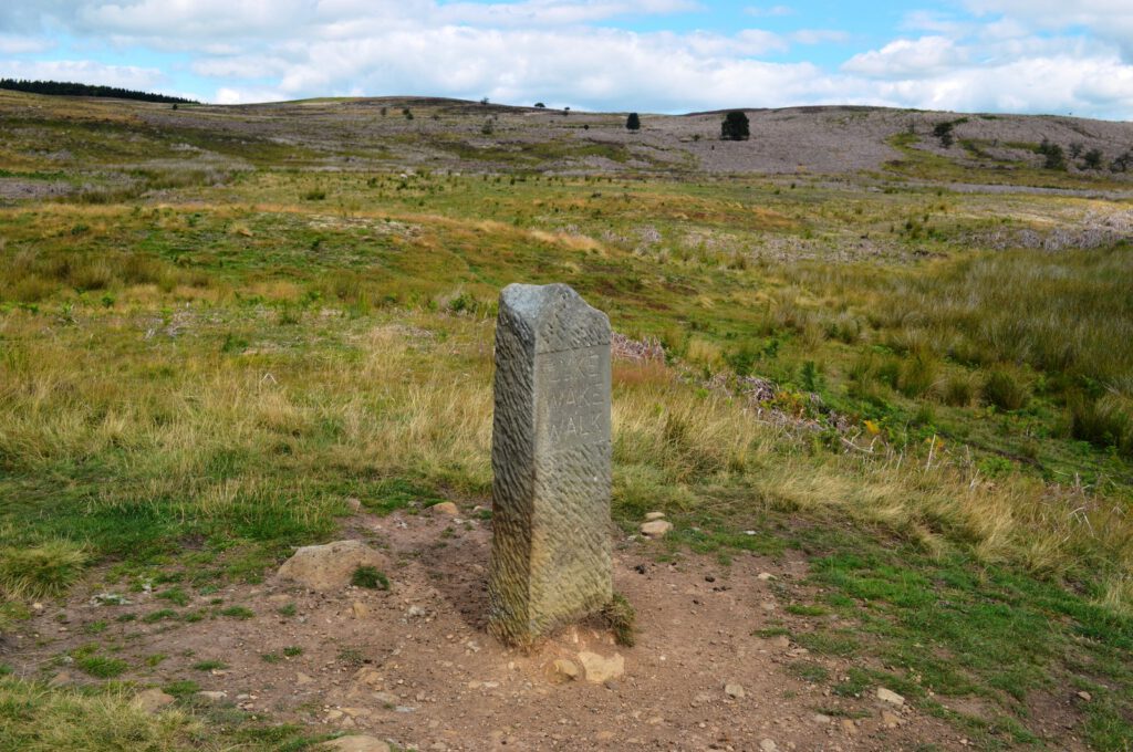 Lyke Wake Walk stone marker on moorland