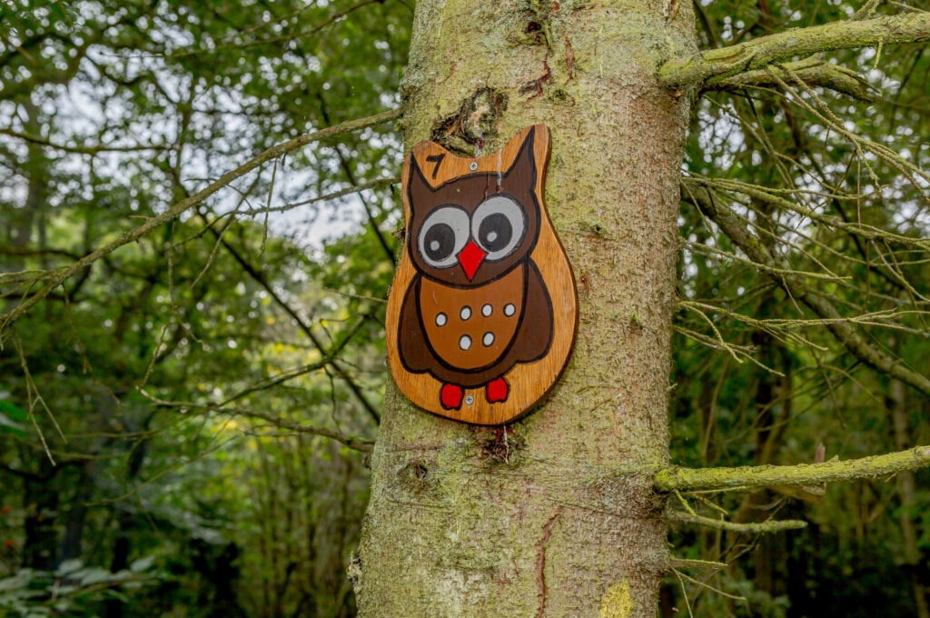 wooden owl pinned to tree marking the Cote Ghyll nature trail