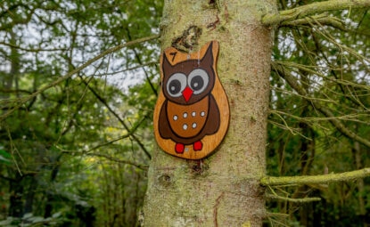 wooden owl pinned to tree marking the Cote Ghyll nature trail