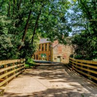 tree lined footpath/road to cote ghyll mill